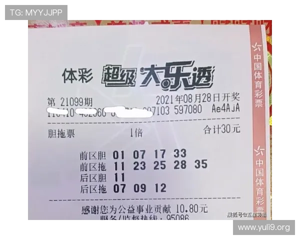 骰宝赔率分析与投注策略帮助你科学规划每一次投注